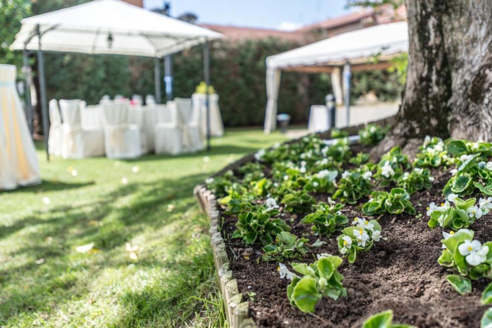 Hotel Il Vigneto Gattinara Dış mekan fotoğraf